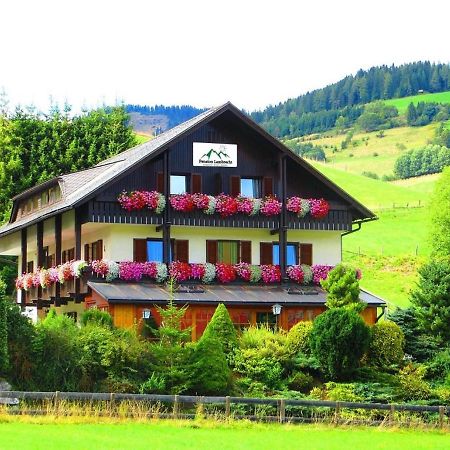 Pension Lambrecht ザンクト・ランブレヒット エクステリア 写真